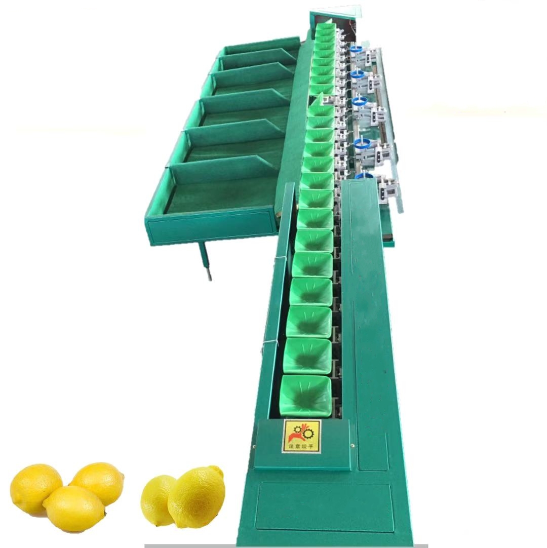Automatic vegetable fruit weight sorting machine