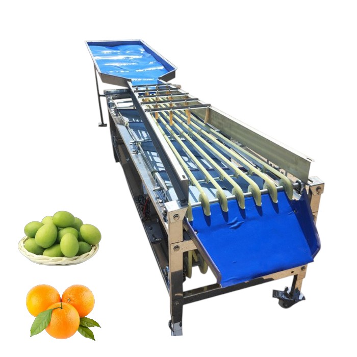 Multifunctional Pathway Fruit Size Grading Machine