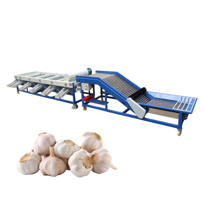 Garlic grading machine