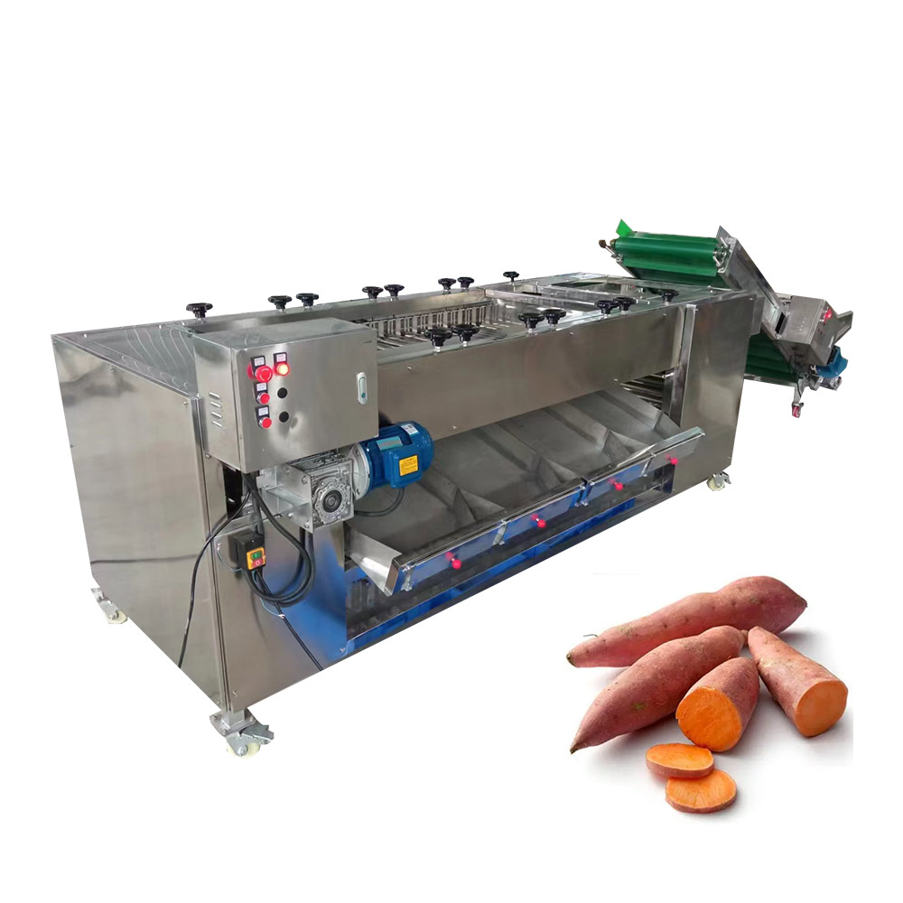 Automatic Roller Type Fruit Sorting Machine