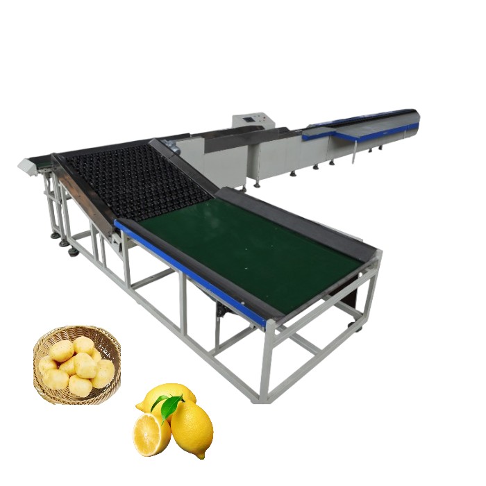 Electronic Fruit Grading Machine