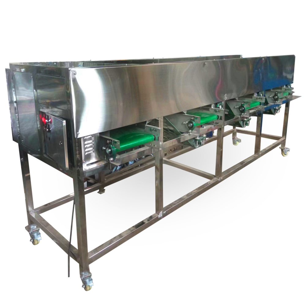 Hole Belt Type Garlic Size Grading Machine