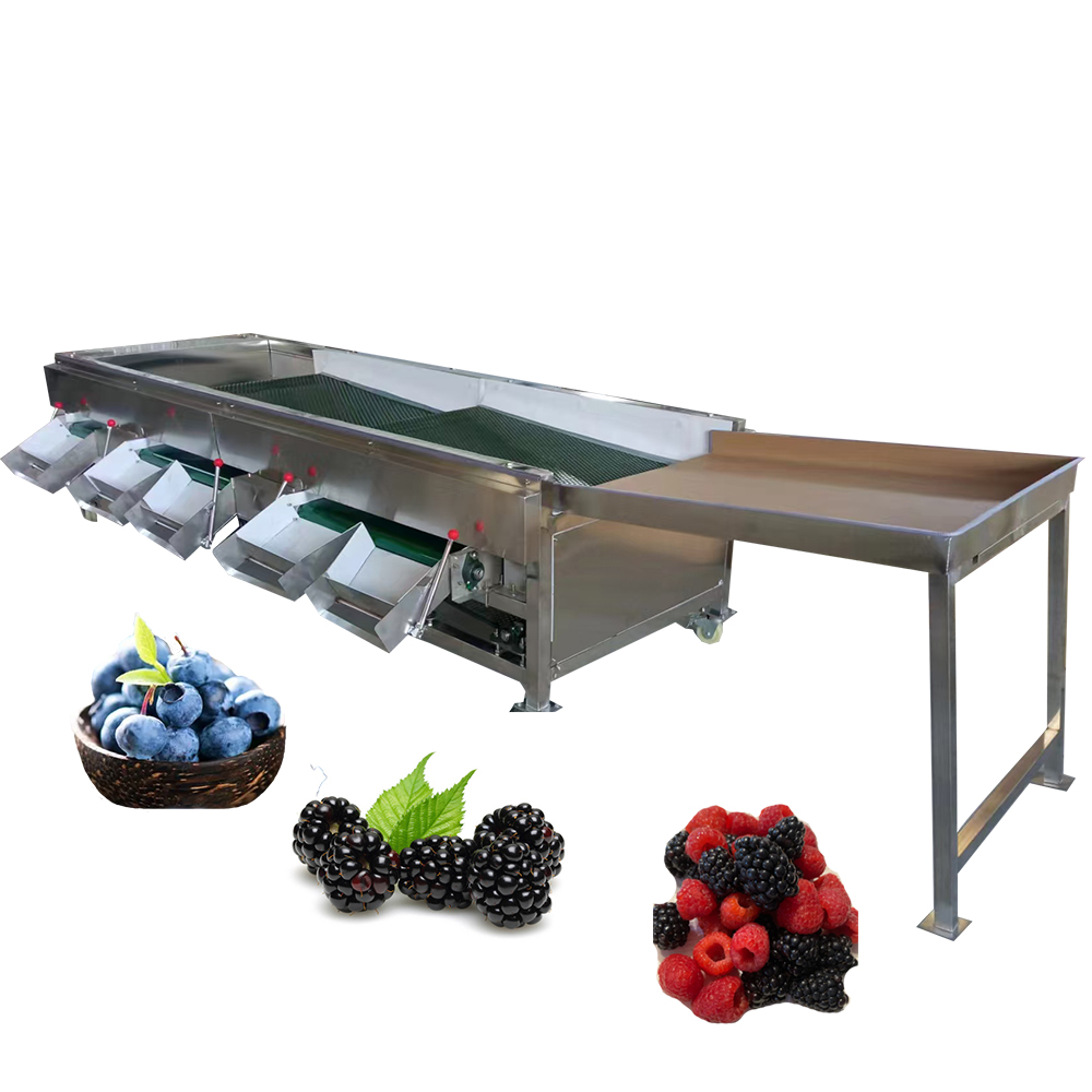 Blueberries sorting machine