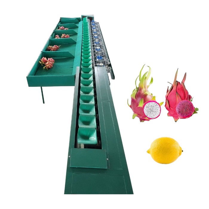 Dragon Fruit Weight Sorting Machine